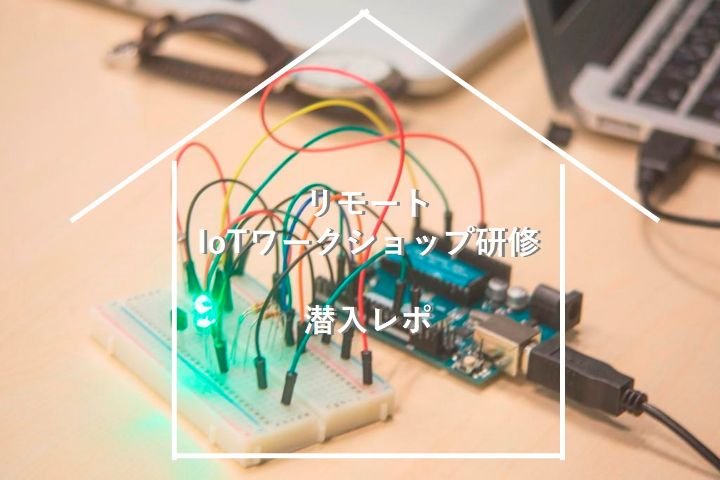 おうち時間にIoTガジェットを作ってみた話。<br/> ～リモートIoTワークショップ潜入レポ～