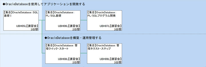 ◆OracleDatabaseを使用してアプリケーションを開発する\n◆OracleDatabaseを構築・運用管理する