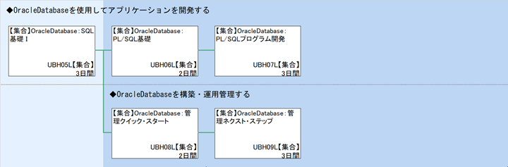 ◆OracleDatabaseを使用してアプリケーションを開発する\n◆OracleDatabaseを構築・運用管理する
