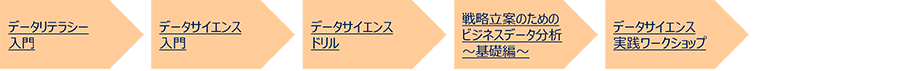 データサイエンスプロフェッショナルを目指したい ノーコード編