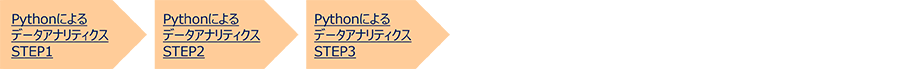 データサイエンスプロフェッショナルを目指したい Python編