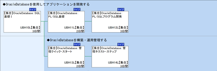 ◆OracleDatabaseを使用してアプリケーションを開発する\n◆OracleDatabaseを構築・運用管理する