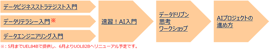 データビジネスストラテジストを目指したい