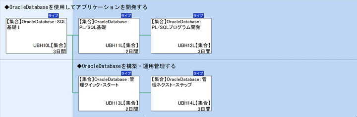 ◆OracleDatabaseを使用してアプリケーションを開発する\n◆OracleDatabaseを構築・運用管理する