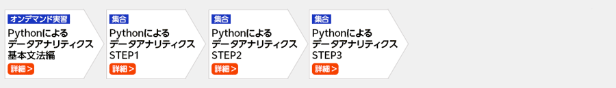 データサイエンスプロフェッショナルを目指したい Python編