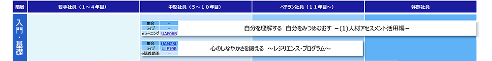 適応力（入門・基礎）コースマップ