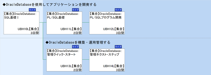 ◆OracleDatabaseを使用してアプリケーションを開発する\n◆OracleDatabaseを構築・運用管理する
